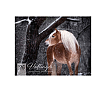 Haflinger Calendar 2026