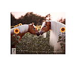 Haflinger Calendar 2026