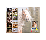 Haflinger Calendar 2026