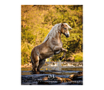 Special Moments Calendar 2025