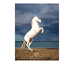 Special Moments Calendar 2025