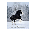 Special Moments Calendar 2025