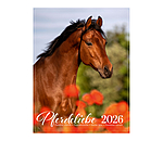 Pony Calendar 2026