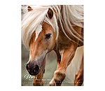 Pony Calendar 2026