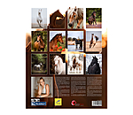 Pony Calendar 2026