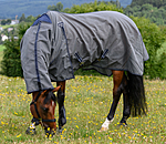 PVC-Mesh Full Neck Sweet Itch and Fly Rug Durable