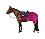 Fly Exercise Rug Economy Light
