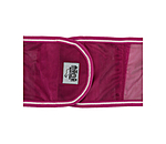 Fly Exercise Rug Economy Light