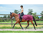 Fly Exercise Rug Economy Light
