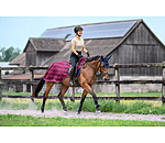 Fly Exercise Rug Economy Light