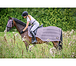 Fly Exercise Rug Economy Light