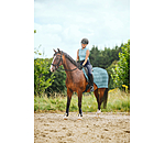 Fly Exercise Rug Economy Light