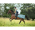 Fly Exercise Rug Economy Light