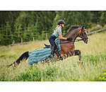 Fly Exercise Rug Economy Light