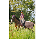 Fly Exercise Rug Economy Light