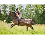 Fly Exercise Rug Economy Light