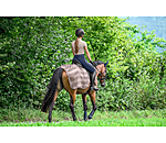 Fly Exercise Rug Economy Light