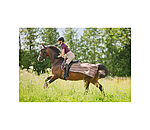 Fly Exercise Rug Economy Light