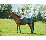 Fly Exercise Rug Economy Light