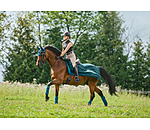 Fly Exercise Rug Economy Light