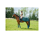 Fly Exercise Rug Economy Light