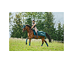 Fly Exercise Rug Economy Light