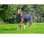 Fly Walker Economy Light