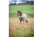 Fly Walker Economy Light