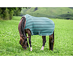 Fly Walker Economy Light