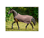 Fly Walker Economy Light