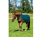 Fly Walker Economy Light