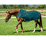 Fly Walker Economy Light