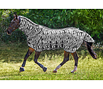 Fly Rug Zebra Combo with Belly Flap