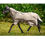 rPet Fullneck Fly Rug with Neck Piece Life Cycle