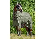 rPet Fullneck Fly Rug with Neck Piece Life Cycle