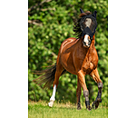 Fly Protection Headcollar with Integrated Fly Mask All-In-One