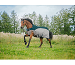2in1 Fly Protection Combi-Walker Kasimo Fly