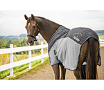 Fly and Travel Combi Rug Micro Fly