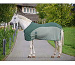 Fly and Travel Combi Rug Micro Fly