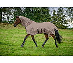 Fly Protection Rug Phileas