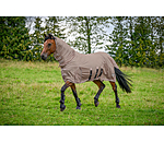 Fly Protection Rug Phileas