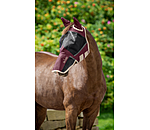 2 in 1 Fly Mask Sun Shield