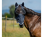 2 in 1 Fly Mask Sun Shield