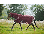 All-Weather Fly Rug Perfect Fit