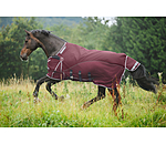 All-Weather Fly Rug Perfect Fit