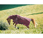 All-Weather Fly Rug Perfect Fit