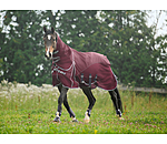 All-Weather Fly Rug Perfect Fit