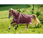All-Weather Fly Rug Perfect Fit