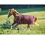 All-Weather Fly Rug Perfect Fit