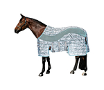 Functional Fly Rug Confusion Fly